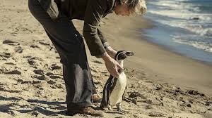 The Penguin Lessons